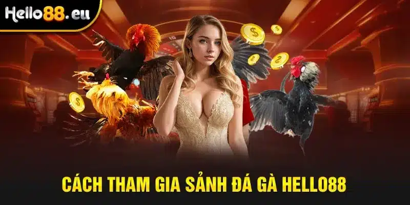 Cách tham gia sảnh đá gà HELLO88 Cách tham gia sảnh đá gà HELLO88