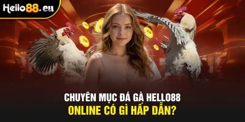 Chuyên mục đá gà HELLO88 online có gì hấp dẫn? Chuyên mục đá gà HELLO88 online có gì hấp dẫn?