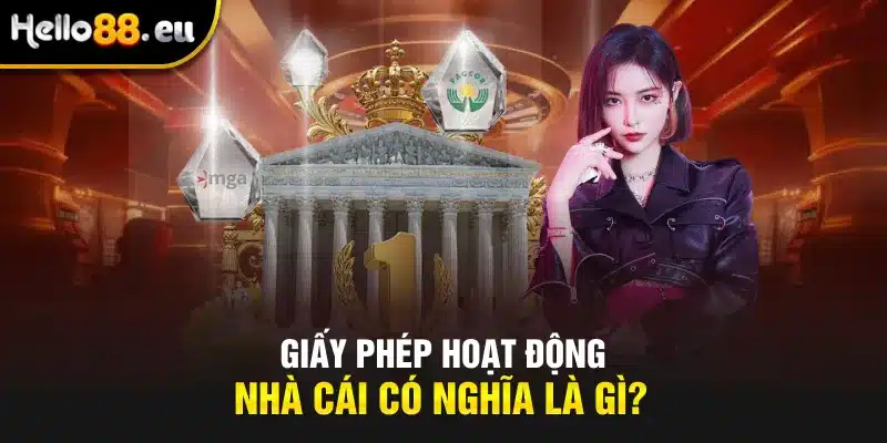 Giấy phép hoạt động nhà cái có nghĩa là gì? Giấy phép hoạt động nhà cái có nghĩa là gì?