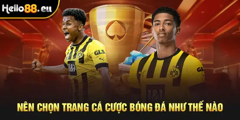Nên chọn trang cá cược bóng đá như thế nào? Nên chọn trang cá cược bóng đá như thế nào?